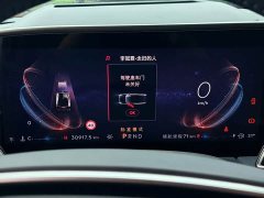 Lincoln Z 2.0T AWD Prestige Hybrid - ფოტო 15