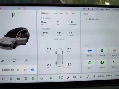 Li Auto L9 2022 Max - ფოტო 5