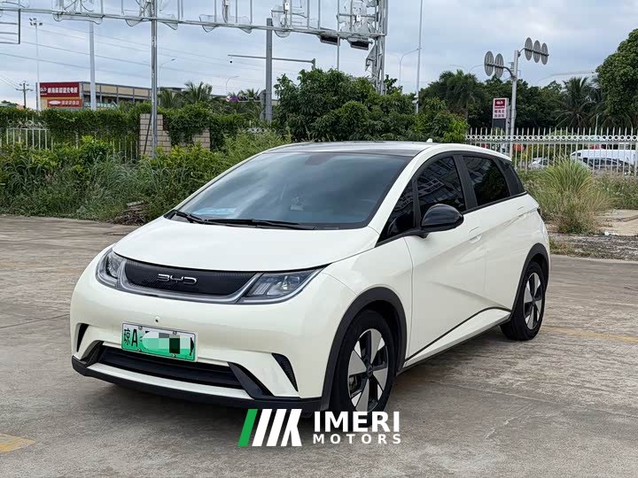 BYD Dolphin 420km Fashion Edition - ავტომობილი ჩინეთიდან