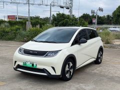 BYD Dolphin 420km Fashion Edition - ფოტო 1