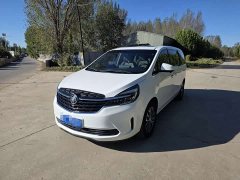 Buick GL8 Land Executive Cabin 652T Luxury - ფოტო 1