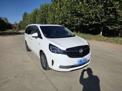 Buick GL8 Land Executive Cabin 652T Luxury - ფოტო 3