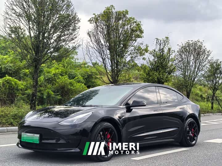 Tesla Model 3 Standard Range RWD Upgrade 3D6