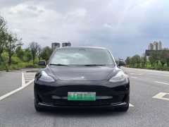 Tesla Model 3 Standard Range RWD Upgrade 3D6 - ფოტო 2