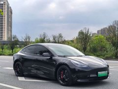 Tesla Model 3 Standard Range RWD Upgrade 3D6 - ფოტო 3