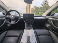 Tesla Model 3 Standard Range RWD Upgrade 3D6 - ფოტო 4