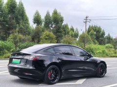 Tesla Model 3 Standard Range RWD Upgrade 3D6 - ფოტო 7