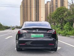 Tesla Model 3 Standard Range RWD Upgrade 3D6 - ფოტო 8