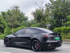Tesla Model 3 Standard Range RWD Upgrade 3D6 - ფოტო 9
