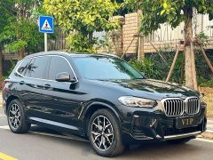 BMW X3 xDrive25i M Sport Package - ფოტო 3