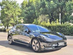 Tesla Model 3 2022 Rear-Wheel Drive - ფოტო 3