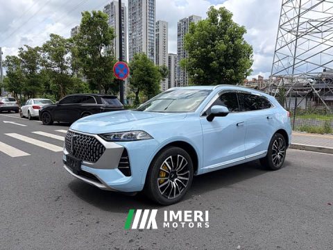 2021 Great Wall Wei Brand Mocha 2.0T AWD Premium Edition - ავტომობილი ჩინეთიდან