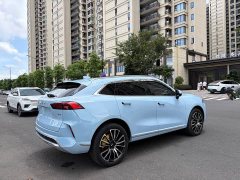 Great Wall Wei Brand Mocha 2.0T AWD Premium Edition - ფოტო 13