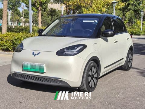 2023 Wuling Binguo 333km Lingxi Connected Plus - car from China