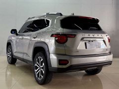 Haval Big Dog PLUS 2023 1.5T Two-Wheel Drive Trendy Wilderness Edition Plus - ფოტო 6