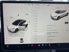 Tesla Model Y Rear-Wheel Drive - ფოტო 18