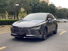 BYD Destroyer 05 Champion Edition DM-i 55KM Luxury - ფოტო 1