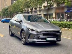 BYD Destroyer 05 Champion Edition DM-i 55KM Luxury - ფოტო 3