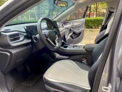 BYD Destroyer 05 Champion Edition DM-i 55KM Luxury - ფოტო 5