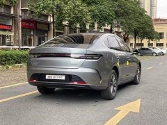 BYD Destroyer 05 Champion Edition DM-i 55KM Luxury - ფოტო 7
