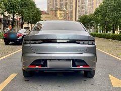 BYD Destroyer 05 Champion Edition DM-i 55KM Luxury - ფოტო 8