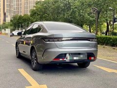 BYD Destroyer 05 Champion Edition DM-i 55KM Luxury - ფოტო 9