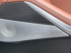 BMW X7 xDrive40i Luxury Package - ფოტო 12