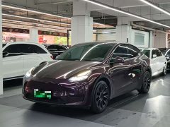 Tesla Model Y Rear-Wheel Drive - ფოტო 1
