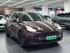 Tesla Model Y Rear-Wheel Drive - ფოტო 2