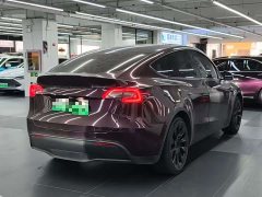 Tesla Model Y Rear-Wheel Drive - ფოტო 8