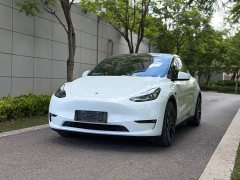 Tesla Model Y Performance All-Wheel Drive - ფოტო 1