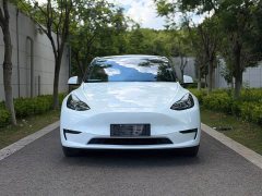 Tesla Model Y Performance All-Wheel Drive - ფოტო 2