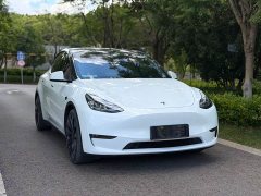 Tesla Model Y Performance All-Wheel Drive - ფოტო 3