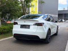 Tesla Model Y Performance All-Wheel Drive - ფოტო 4