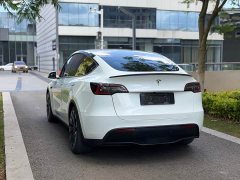 Tesla Model Y Performance All-Wheel Drive - ფოტო 5