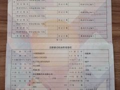 Li Auto L8 Max - ფოტო 18