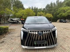 GAC Aion E9 Champion Edition - ფოტო 2