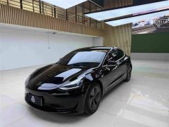 Tesla Model 3 2020 Standard Range RWD Upgrade - ფოტო 1