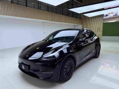 Tesla Model Y Standard Range RWD - ფოტო 1