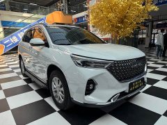 Haval M6 PLUS 1.5T DCT Luxury Smart Connected Edition - ფოტო 2