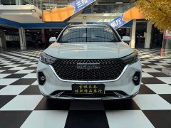 Haval M6 PLUS 1.5T DCT Luxury Smart Connected Edition - ფოტო 3