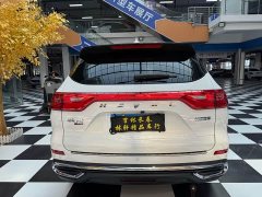 Haval M6 PLUS 1.5T DCT Luxury Smart Connected Edition - ფოტო 8