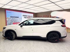 Volkswagen Viloran 2020 Mild Hybrid Redline 530T Automatic Luxury Edition (5 2 Seating) - ფოტო 8