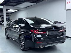 BMW 5 Series 530Li Premier M Sport Package - ფოტო 19