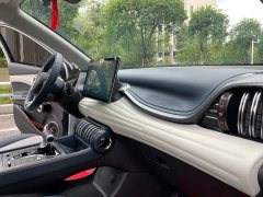 BYD Yuan Plus 430KM Premium Edition - ფოტო 14