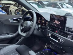 Audi A4L 200 Million Units Joyful Edition 40 TFSI Luxury Dynamic - ფოტო 17