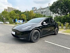 Tesla Model Y Rear-Wheel Drive - ფოტო 2