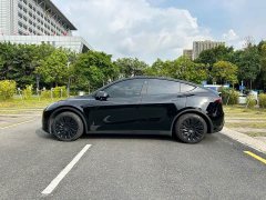 Tesla Model Y Rear-Wheel Drive - ფოტო 3
