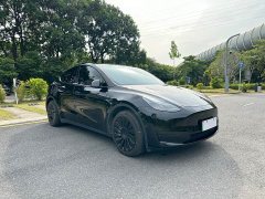 Tesla Model Y Rear-Wheel Drive - ფოტო 8