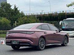 BYD Dolphin 2023 DM-i 1.5L 121km Luxury - ფოტო 12
